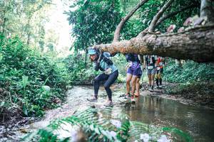 BIB: 
                            <button type="button" onclick="openModal(25442535)" class="btn btn-primary btn-sm float-right btn-popup" data-toggle="modal" data-target=".modal-high-quality">
                        <i class="fas fa-shopping-cart"></i> Add to Cart
                    </button>
                                            <button type="button" onclick="isThisMe(25442535, true)" class="btn btn-success btn-sm float-right btn-popup btn-isme hidden" data-toggle="tooltip" data-placement="bottom" title="นี่คือรูปของคุณใช่ไหม คลิกที่นี่เพื่อเอาเข้าอัลบั้ม">
                        <i class="fas fa-plus"></i> Add to album
                    </button>
                    <button type="button" onclick="isThisMe(25442535, false)" class="btn btn-warning btn-sm float-right btn-popup btn-isnotme hidden">
                        <i class="fas fa-ban"></i> Remove from album
                    </button>